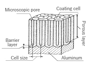 Microscopic Structure