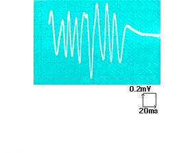 Reading the magnetic ink pattern