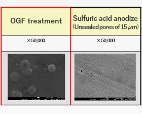 A photo for comparing SEM observation results