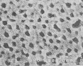 半導体製造装置部品用アノダイズ膜表面写真（倍率：400,000倍）